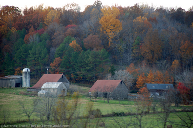 ashley-judd-farm-nashville.jpg