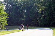 bicyclists-and-motorcyclists-coexist.jpg