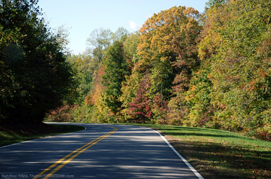 colorful-autumn-natchez-trace.jpg