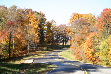 A beautiful fall drive along the Natchez Trace Parkway in Tennessee during Autumn. photo by Lynnette