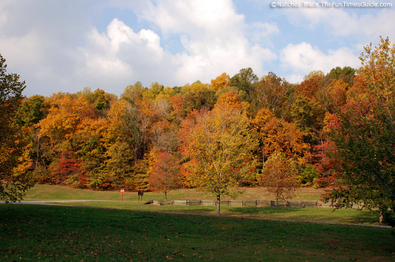 hills-of-golden-colors-natchez-trace.jpg
