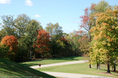 hilly-natchez-trace-parkway.jpg