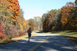 lone-jogger-on-natchez-trace.jpg