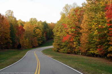 natchez-parkway-yellow-trees.jpg