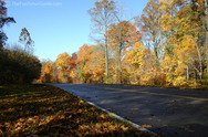 natchez-trace-fall-leaves1.jpg