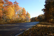 natchez-trace-fall-leaves2.jpg