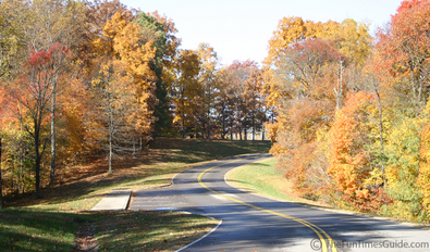 natchez-trace-parkway-road.jpg