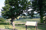 natchez-trace-scenic-overlook.jpg