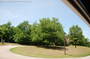 old-trace-walk-parking-at-403.jpg