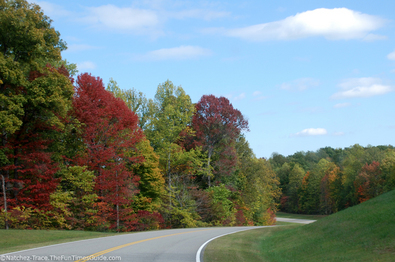 red-orange-green-natchez-trace-parkway.jpg