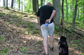 whos-walking-who.jpg