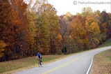 Biking on the Natchez Trace in November when the fall colors are at their peak in Nashville. You can actually see the leaves falling in the path of this bicyclist.