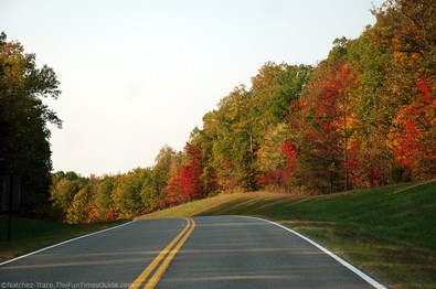 colorful-leaves-parkway-near-franklin-tn.jpg