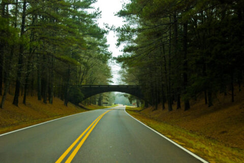 10 Reasons The Natchez Trace Pkwy Should Be On Your Bucket List