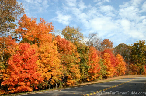 Sometimes Tennessee Fall Foliage Peaks Early!… (Photos From Natchez Trace Parkway)