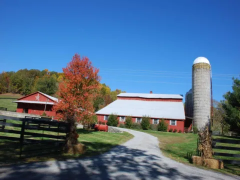 Even the entrance to Naomi Judd's barn is gorgeous! It's located in the beautiful Nashville countryside -- just off the Natchez Trace Parkway. 