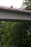 walking-natchez-trace-bridge.jpg